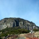 삼화여행사