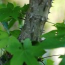 황해여관 이미지