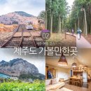 상모리-15 | 제주도 가볼만한곳 제주도 2박3일 여행 코스