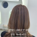 바비블론디