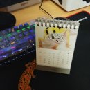 메이슨게코 | (MASON GECKO 오픈채팅) 이벤트 당첨으로 받게 된 미니탁상 달력 후기.❤