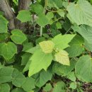 경화농장 이미지