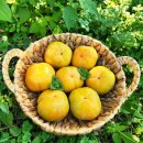 천석농장 이미지