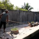 성숙농장 이미지