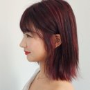 헤어바이제이 - 용인시 수지구 | 헤어바이제이
