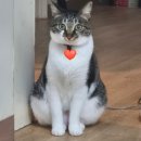 경기동로 | 29살 10월 ; 거꾸로 일기(2)