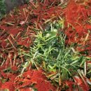 (주)열무 이미지