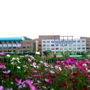 창신초교 이미지