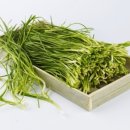 늘푸른건강마을 이미지