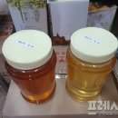 화개축산 프레시안