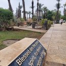 팔복농장 이미지