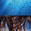 서교시장 이미지