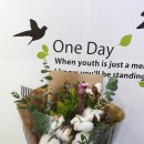 하안도깨비 이미지