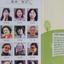 마당지 티스토리