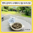 엔픽(N-peak) | 엔픽 강아지수제화식 첫만남 패키지 후기｜강아지수제간식 고구마치즈볼까지 챙긴 제니 나들이 밥