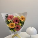 요요플라워 | 사회적기업 플립플라워 꽃정기구독 후기: 비비드 홈 인테리어 완성