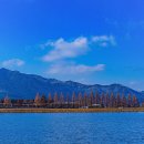 청솔공원 이미지