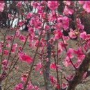 신안축구장 축구장 이미지