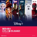 주식회사 스토리앤플러스 이미지