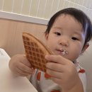 쌍둥이카써비스 | 신정동 카페게이트 신월점 내돈내산! 쌍둥이 아빠의 현실 육아 힐링 스팟 꿀팁 대방출!