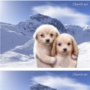 사당역 6번출구앞 이미지