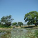 금당실전통마을 이미지