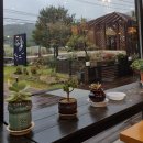 더치앤빈 제천세명대점