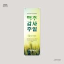 늦은비디자인 네이버블로그