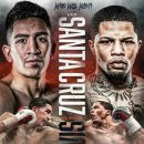 월드복싱 이미지