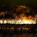 아침들녘 이미지