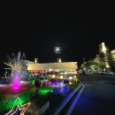 빠라빠라 포차 | [양양 여행] 내가 묵었던 숙소 더 앤 리조트 (내돈내산)