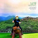 시와 더불어 사는 삶 | 지리산둘레길5차 19구간 방광~오미(역방향) 12.3km 2025.06.01