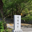 대항마마펜션