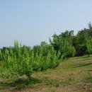 마동농장 이미지