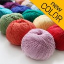 하이소프트 이미지