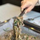 물꽁오리 이미지