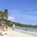 와이키키 이미지