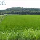 곡성-229 이미지