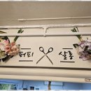 퍼피살롱 이미지