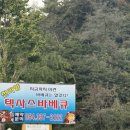 최무선로 | 12시간 참나무에 훈연한 바베큐 맛집 ㅣ 영천 천리향 텍사스바베큐