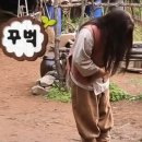 제이리튼