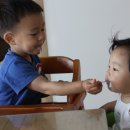 사이만들기 이미지