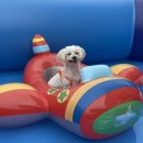 함께놀개 이미지