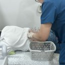 한기석한의원 네이버블로그