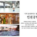 이색 실내데이트 명소 인천공항 이미지