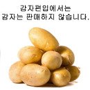 독학사1단계 기출문제 이미지