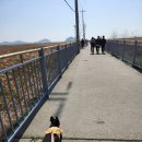 누에섬등대 | 애견동반 대부도 가볼만한 곳 탄도항 누에섬 간조 시간 맞춰서 가세요.