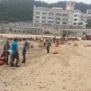 남일대해수욕장 이미지