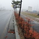 보라비치모텔 이미지