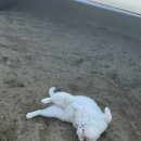 새재산장설악가든 | Ⅱ(가족이랑 상주 석문사 보굴암, 문경새재 나들이, 새재산장설악가든, 오미자막걸리, 홍천 일월쌈밥...